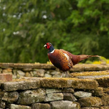 Vila Rawcliffe House Farm Pickering Exteriér fotografie