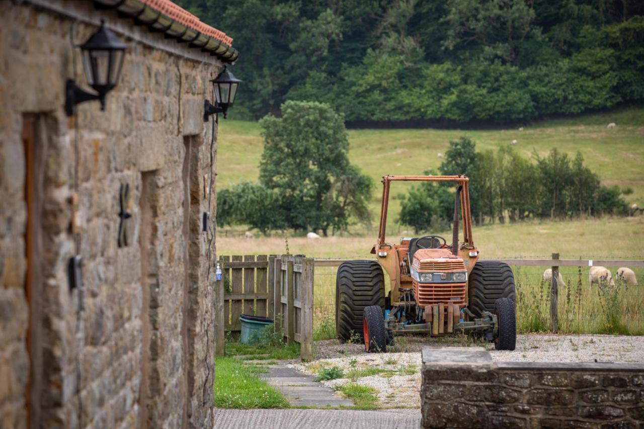 Vila Rawcliffe House Farm Pickering Exteriér fotografie