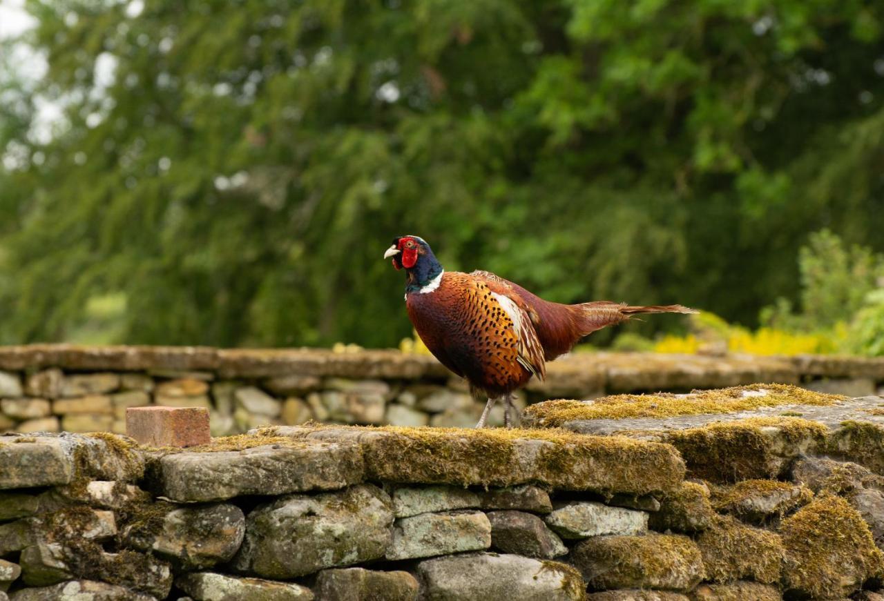 Vila Rawcliffe House Farm Pickering Exteriér fotografie