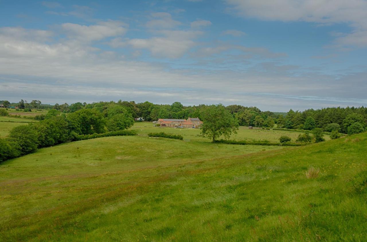 Vila Rawcliffe House Farm Pickering Exteriér fotografie