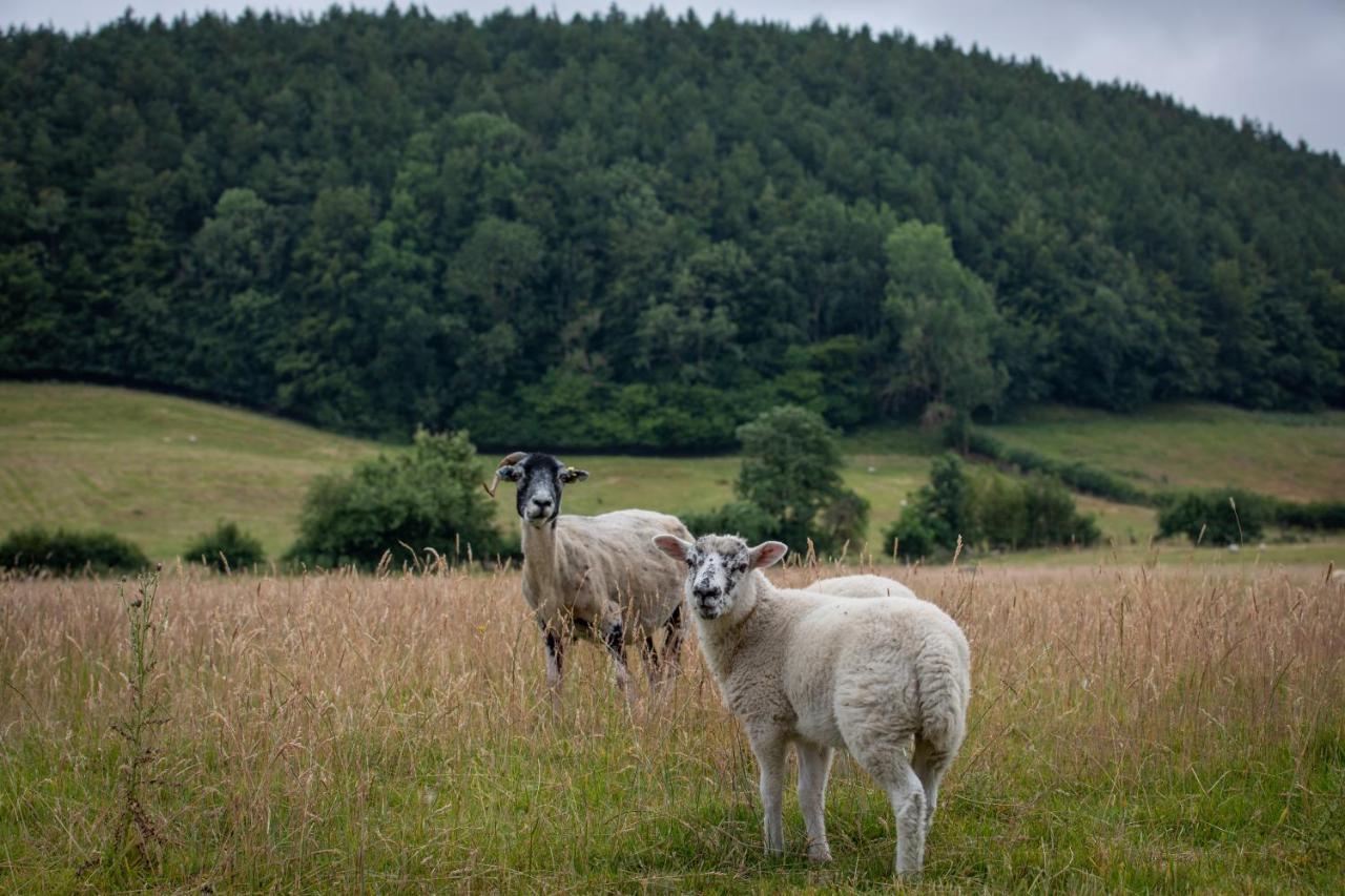 Vila Rawcliffe House Farm Pickering Exteriér fotografie