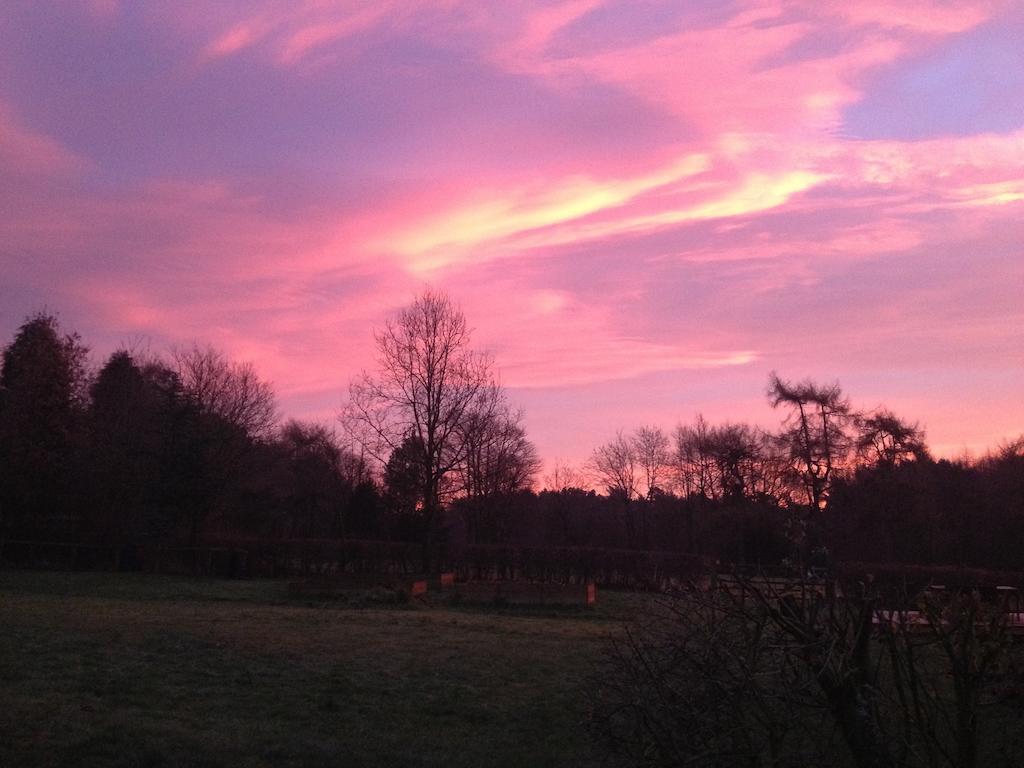 Vila Rawcliffe House Farm Pickering Exteriér fotografie