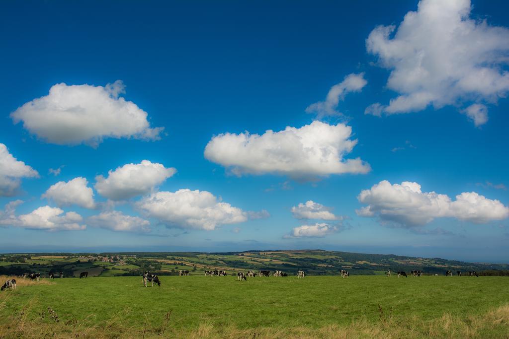 Vila Rawcliffe House Farm Pickering Exteriér fotografie