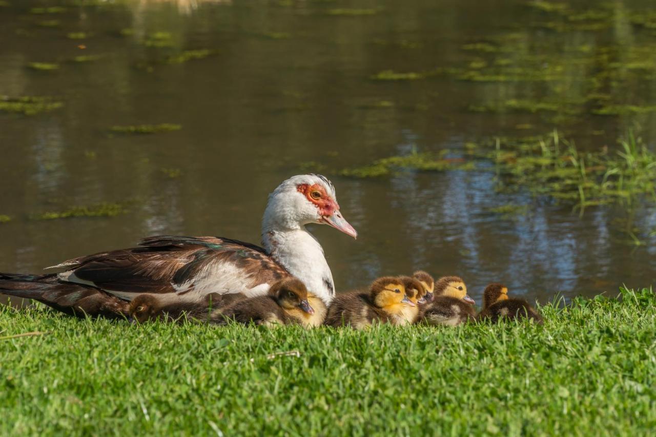 Vila Rawcliffe House Farm Pickering Exteriér fotografie